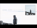 Owl City - Goodbye (Who is Fancy) 