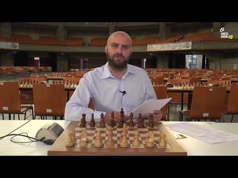 MPJBiS Wrocław 2017 - podsumowanie 1-go dnia