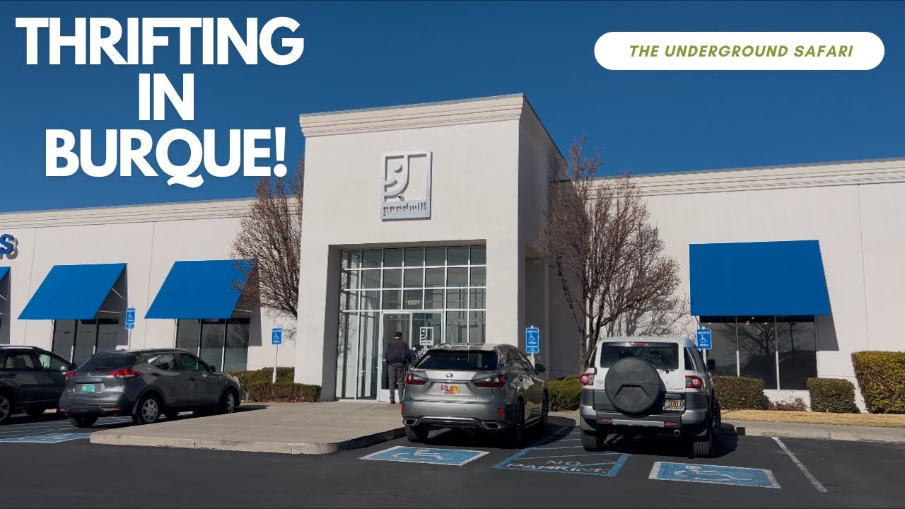 A Few Hours of Thrifting in Albuquerque, N.M. #ebayseller #bolo #goodwill #garagesale  #reseller