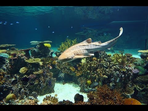 Happy Birthday, Zeke!