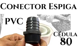 Conector Espiga