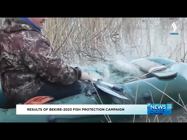 Бекіре-2023: Балық түрлерін аулауға қатысты 36 қылмыстық іс қозғалды