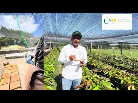 Acción solidaria para jóvenes y productores en producción de plantas  e injertacion  Lejanias meta
