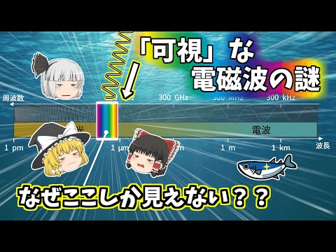 電磁スペクトルの可視領域