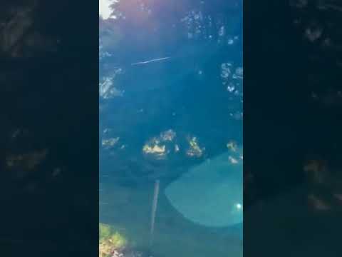 Los caminos de la bodega invitan a recorrer su magia ✨