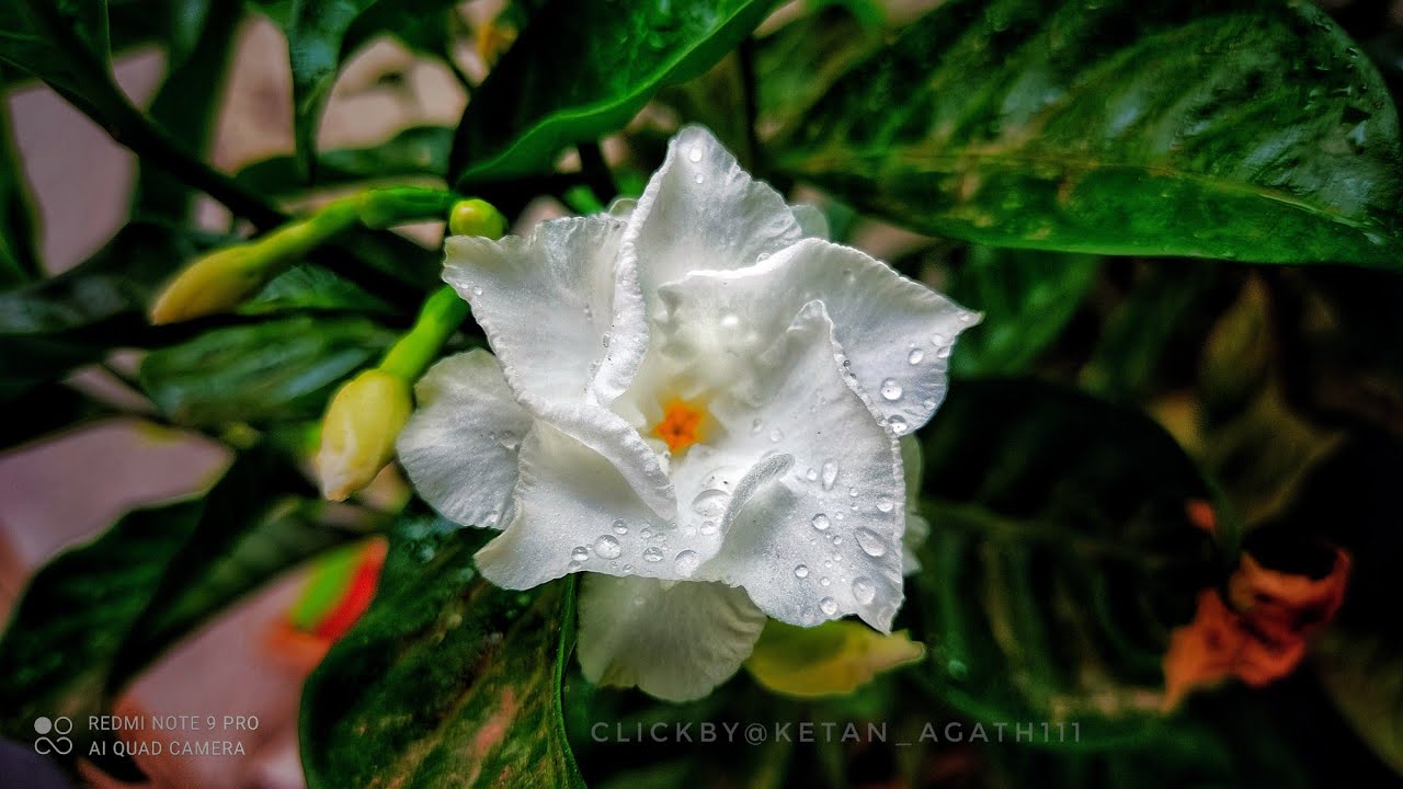 photography editing 2021 #instagramviralreels