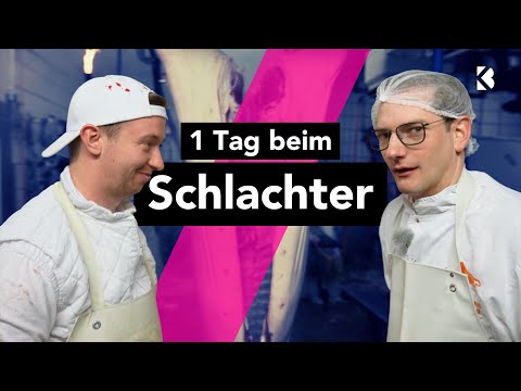 A day at the butcher's: 🐷 vs. 🥩