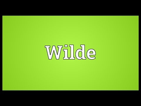 Wilde Meaning