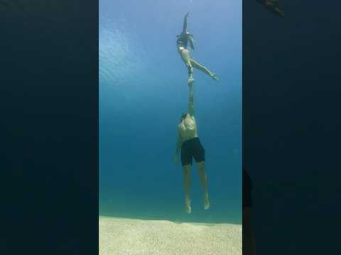 Then a TIGER SHARK swam by 🤩 // Underwater dancing w/ my @juansharks #sharks #shorts #ocean