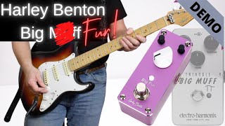 Video thumbnail for Harley Benton BIG FUR demo by Chrisdava
