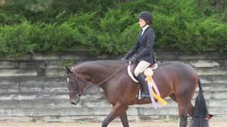 Kaitlyn Lomas &amp; Sculptured In Iron - NIHJA Finals Oct 2016