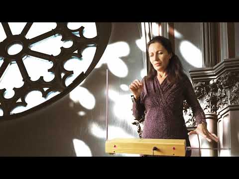 Anca Bold Martin - Schubert AVE MARIA - theremin