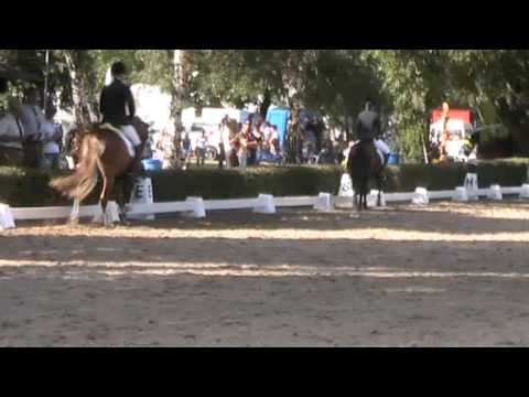 BuCha Qualifikation Hannover 2013