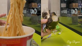 Download lagu Late night ramyeon food trip at CU Convenience Store! #crizbayani mp3 Download lagu Late night ramyeon food trip at CU Convenience Store! #crizbayani mp3