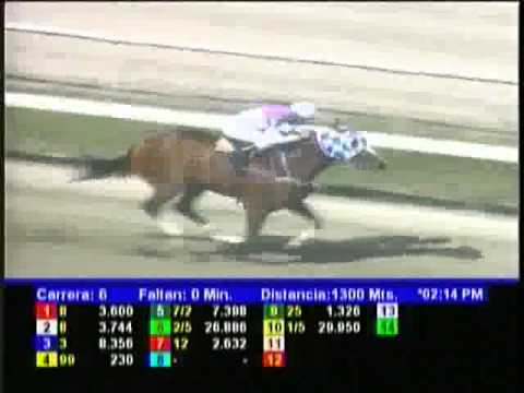 Resumen Domingo, 20 de Enero de 2013 - La Rinconada