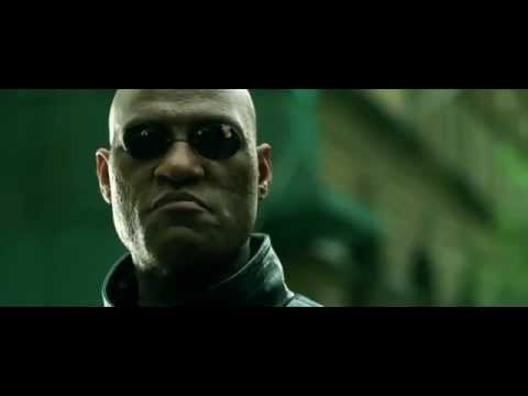 TPA Bebe in the Matrix