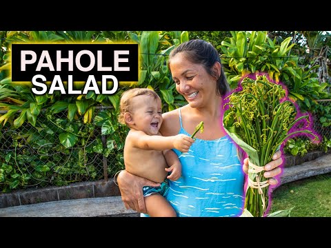 Pahole - Warabi - Hō‘i‘o - Wild Fiddlehead Fern Shoots - Foraged in Hawai’i with Kimi Werner