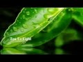 David Castle - Ten To Eight [ w/ lyrics]