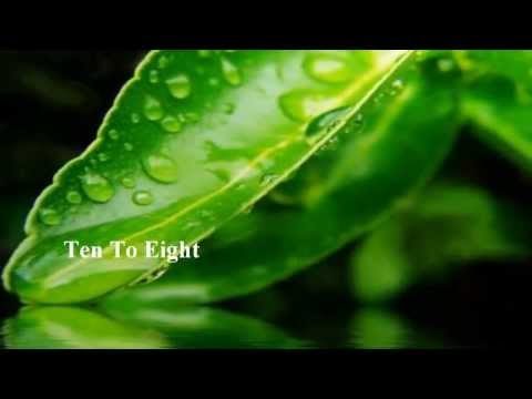 David Castle - Ten To Eight [ w/ lyrics]