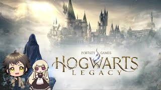 レイブンクローの戦闘狂【Hogwarts Legacy】3/2