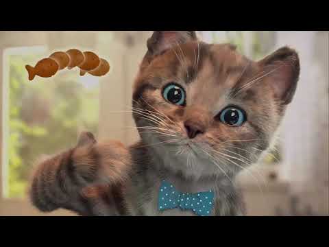 EL GATITO VA A LA PLAYA | LAS AVENTURAS DEL GATITO