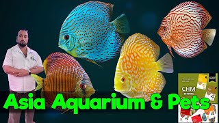 Asia Aquarium New Discus Fish Stock | Frozen Fish Food | Delivery Available All Over India