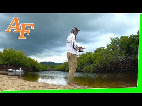 Found secret hidden fishing spots - Then this happened...  - EP.580