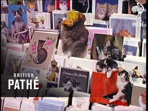 Cat's Accessories (1965)