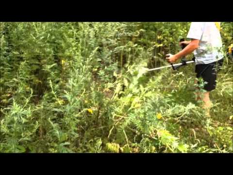 Видео Мотокоса AL-KO FRS 4125 в работе