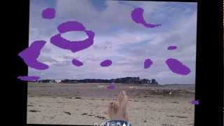 Michel Jonasz J'veux pas qu'tu t'en ailles