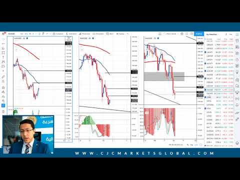 Daily Market Review - 2nd of March 2021