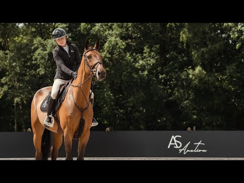 Goldstrike Z - Profile