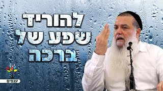 הרב יגאל כהן | אלול 2024💥כך תוריד עליך שפע ברכה (ממבשרת ציון)