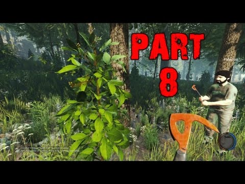 the forest pc gratuit