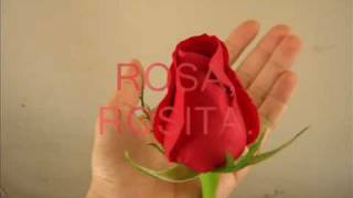 Rosa, Rosita (Roberto Carlos)