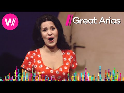 Angela Gheorghiu on Adina in "L'Elisir d'Amore" by Gaetano Donizetti | Great Arias Explained 10/24