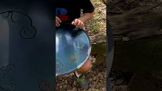 B Kurd Frog drums #handpan #ravvast #frog #handpanworld #rav #steeldrum #steeltonguedrum
