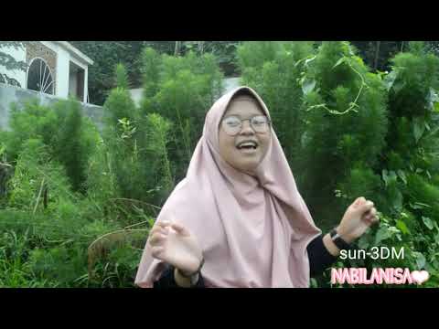 LA TABKI YA SHOGIRI VERSI SANTRI DAARUL MUSTAQIEM COVER NABILA RAHADATUL 'AISYI