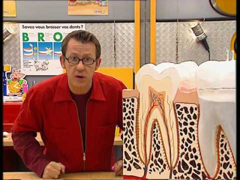 Qu'est-ce qu'une carie ? - C'est pas sorcier