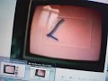 Lyons Group Logo Voice Over Video Tape Avi Pitch 1