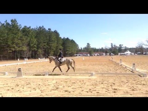 Erin Deyo and FE Spellbound- Dressage at Sporting Days Farm Horse Trails 3/6/2016