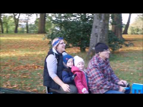 The Little Train of Workington Hall - Autumn 2016.