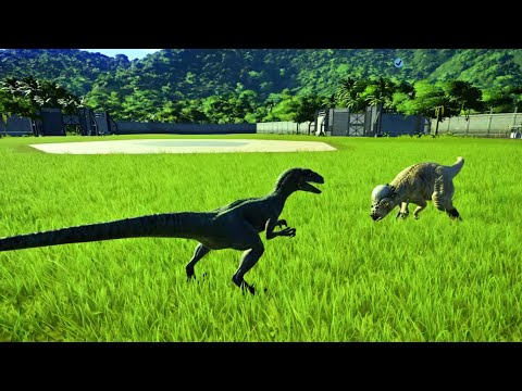 Pachy Vs Raptor & Allosaurus