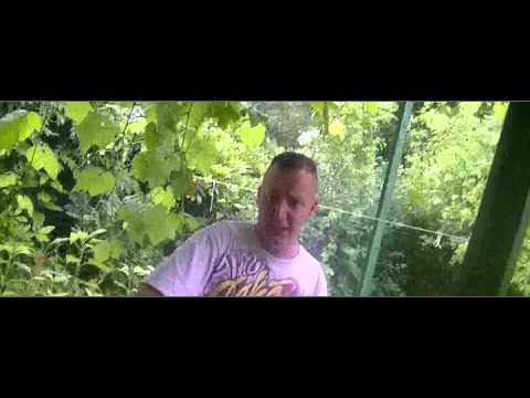 5ivas Mc Die welt dreht sich Ep smog rein smog raus Nov