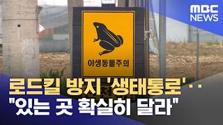 로드킬 방지 '생태통로'‥있는 곳 확실히 달라 (2026.04.13/뉴스투데이/MBC)