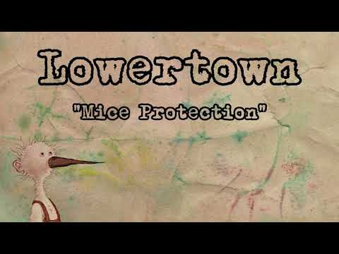 Video thumbnail for Mice Protection