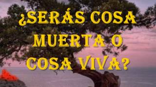 &quot;ALAS MOJADAS&quot;... MAURICIO ESCRIBANO.