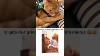 Download lagu meme kkk mp3 Download lagu meme kkk mp3
