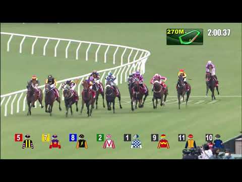 31/10/2021 (135) God Of Dragon- Jerry Chau