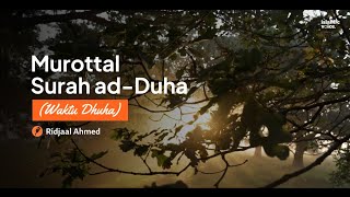 Download lagu Murottal Merdu surah ad-Dhuha | terjemah Indonesia | by Ridjal Ahmed mp3 Download lagu Murottal Merdu surah ad-Dhuha | terjemah Indonesia | by Ridjal Ahmed mp3